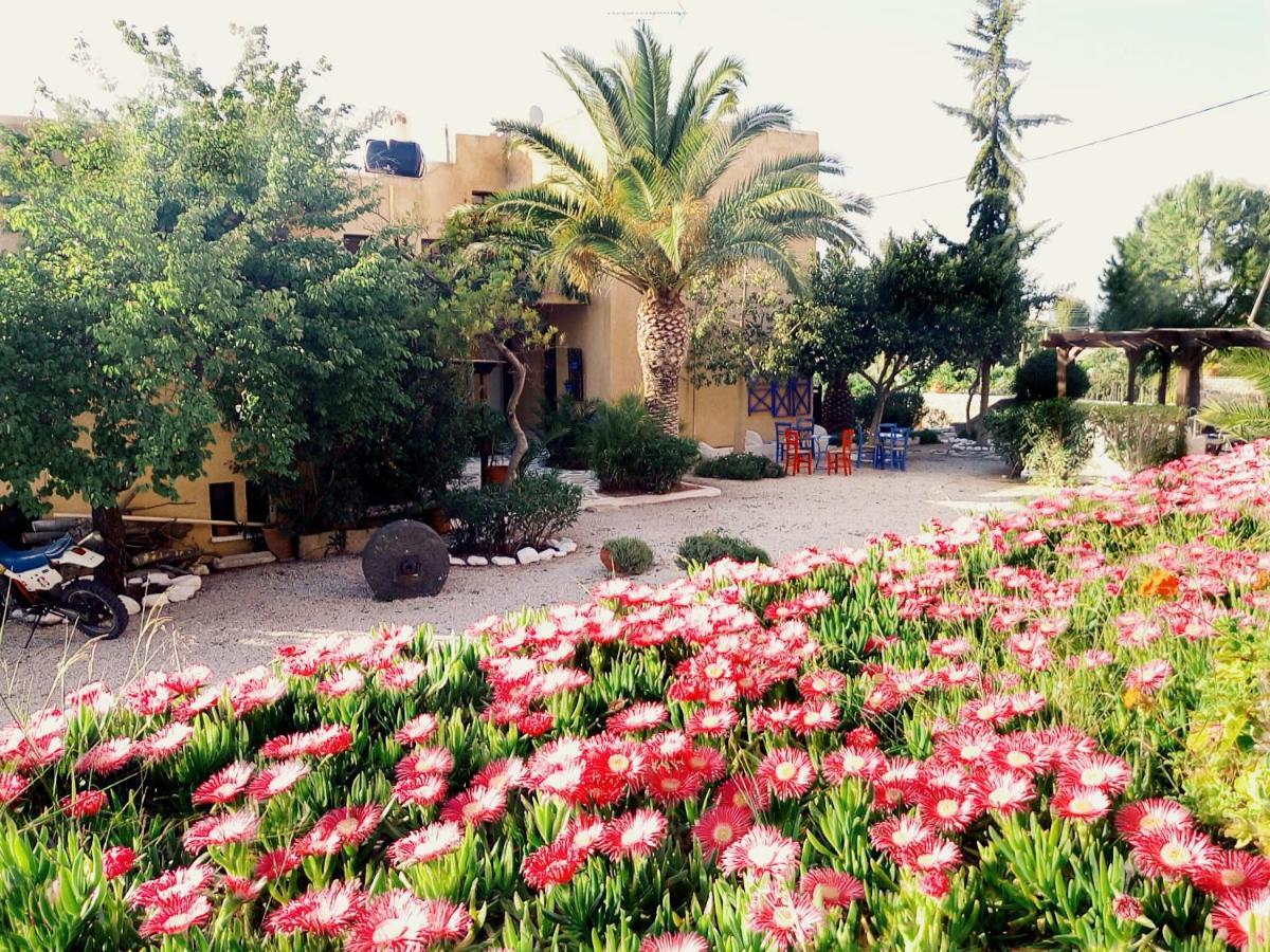 Vagia Beach Apartments, Aegina Island الغرفة الصورة