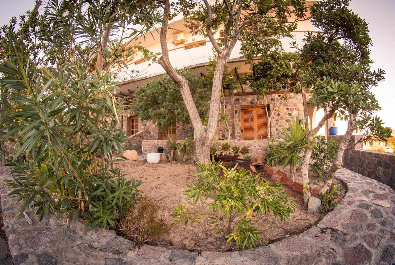 Vagia Beach Apartments, Aegina Island الغرفة الصورة